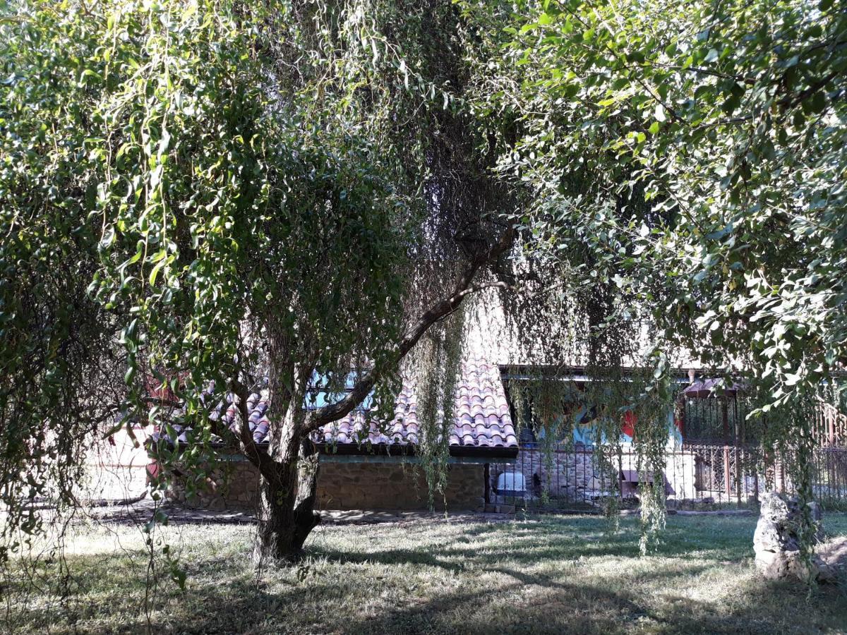 Zubialde Hugoren Egoitza מראה חיצוני תמונה
